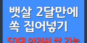 뱃살 빼는 방법