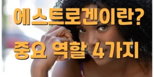 에스트로겐 호르몬 역할