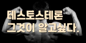 테스토스테론이란?