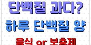 단백질 하루 섭취량